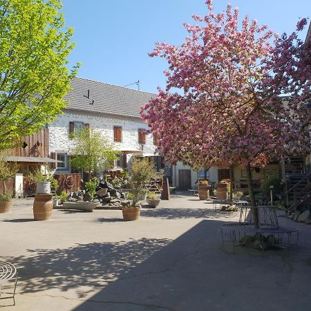Schoene Wohnung Kleiner Onkel Auf Idyllischem Reiterhof Nahe Burg Eltz Münstermaifeld Esterno foto