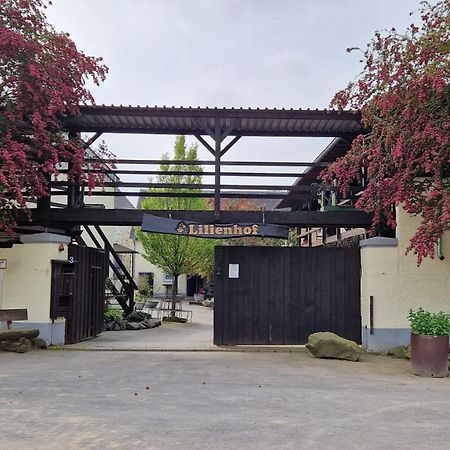 Schoene Wohnung Kleiner Onkel Auf Idyllischem Reiterhof Nahe Burg Eltz Münstermaifeld Esterno foto