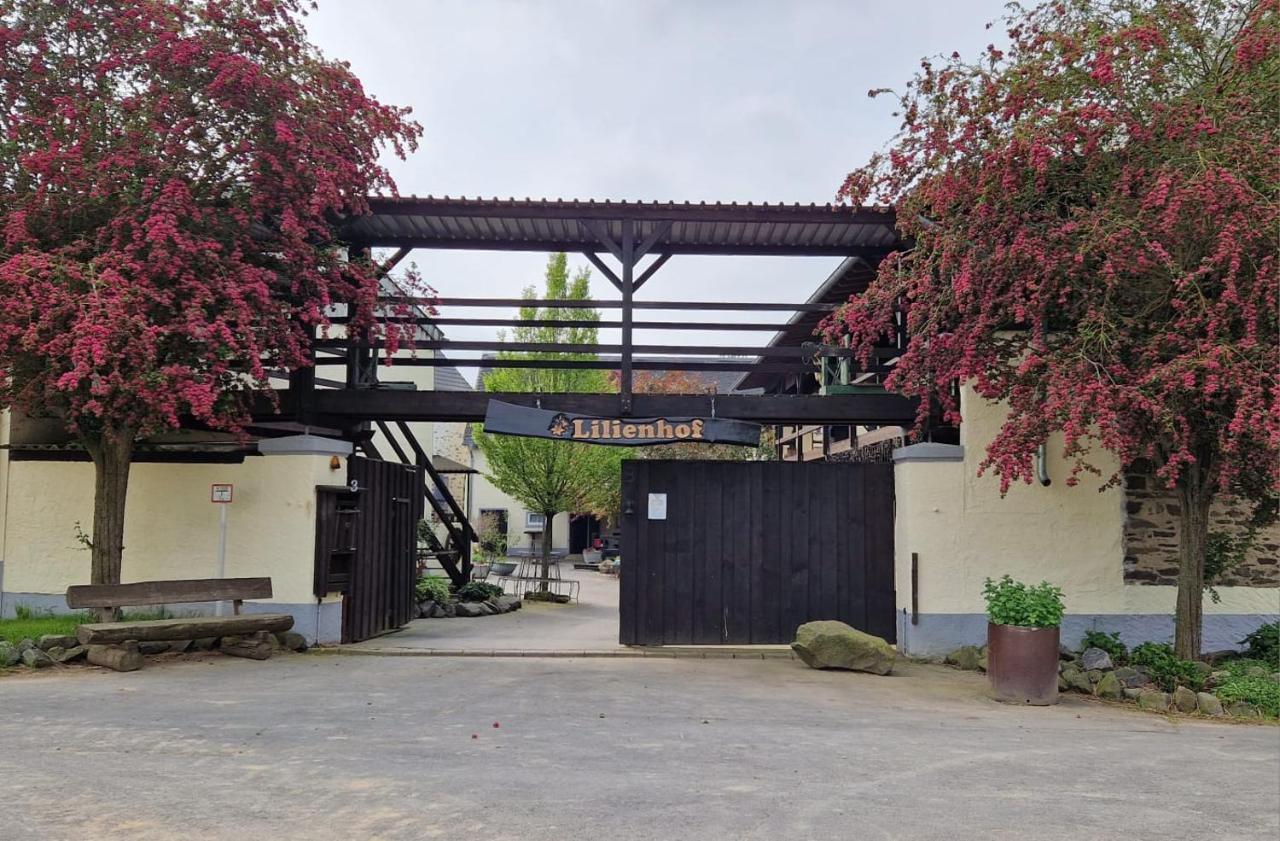 Schoene Wohnung Kleiner Onkel Auf Idyllischem Reiterhof Nahe Burg Eltz Münstermaifeld Esterno foto